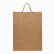 Bolsa kraft