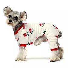 Ropa para perro